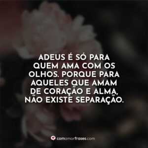 Adeus é só para quem ama com os olhos. Porque para aqueles que amam de coração e alma, não existe separação.