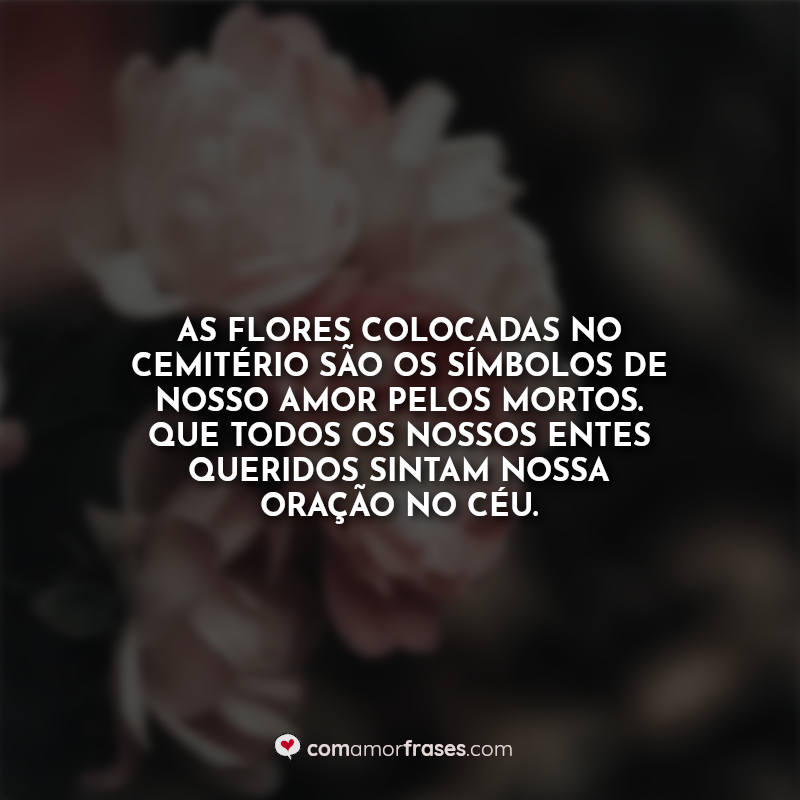 Frases Finados: As flores colocadas no.