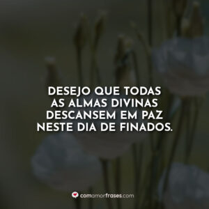 Desejo que todas as almas divinas descansem em paz neste Dia de Finados.