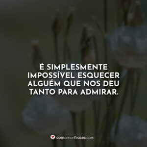 É simplesmente impossível esquecer alguém que nos deu tanto para admirar.