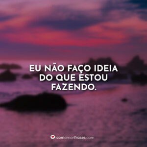 Eu não faço ideia do que estou fazendo.