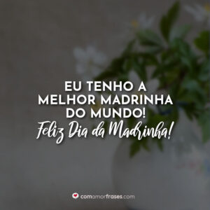 Eu tenho a melhor madrinha do mundo! Feliz Dia da Madrinha!