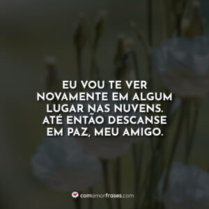 Eu vou te ver novamente em algum lugar nas nuvens. Até então descanse em paz, meu amigo.