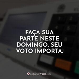 Faça sua parte neste domingo, seu voto importa.
