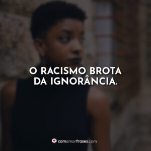 O racismo brota da ignorância.