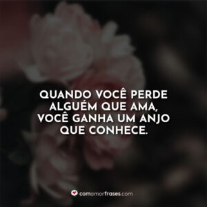 Quando você perde alguém que ama, você ganha um anjo que conhece.