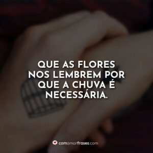Que as flores nos lembrem por que a chuva é necessária.