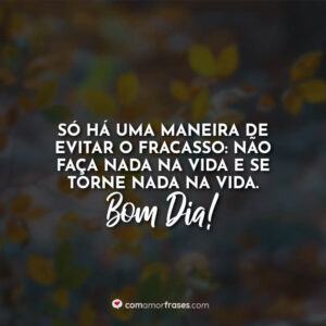 Só há uma maneira de evitar o fracasso: não faça nada na vida e se torne nada na vida. Bom Dia!