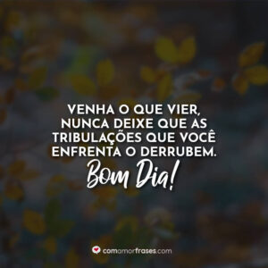 Venha o que vier, nunca deixe que as tribulações que você enfrenta o derrubem. Bom Dia!