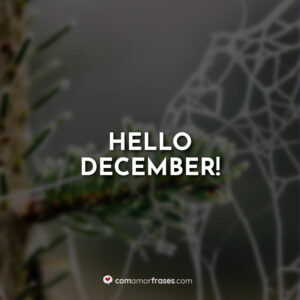 Hello December!