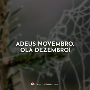 Adeus Novembro. Olá Dezembro!