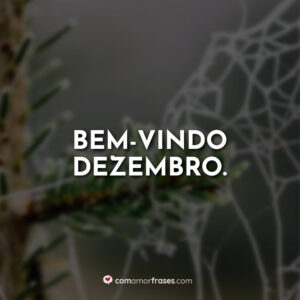 Bem-vindo Dezembro!