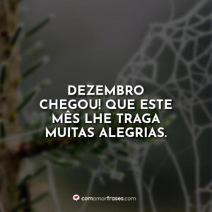 Dezembro chegou! Que este mês lhe traga muitas alegrias.