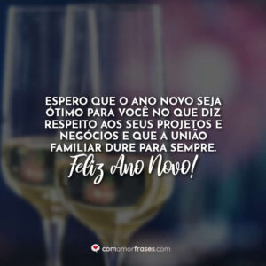 Espero que o Ano Novo seja ótimo para você no que diz respeito aos seus projetos e negócios e que a união familiar dure para sempre. Feliz Ano Novo!