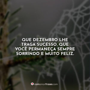 Que dezembro lhe traga sucesso, que você permaneça sempre sorrindo e muito feliz.