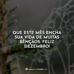 Que este mês encha sua vida de muitas bênçãos. Feliz Dezembro!