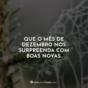 Que o mês de dezembro nos surpreenda com boas novas.
