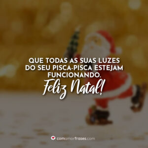 Que todas as suas luzes do seu pisca-pisca estejam funcionando. Feliz Natal!
