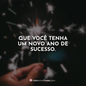 Que você tenha um novo ano de sucesso.