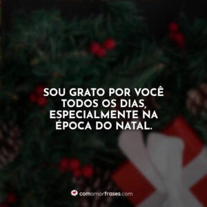 Sou grato por você todos os dias, especialmente na época do Natal.
