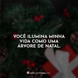 Você ilumina minha vida como uma árvore de Natal.