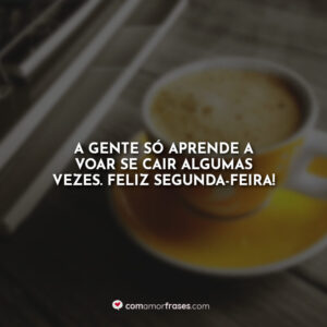 A gente só aprende a voar se cair algumas vezes. Feliz Segunda-Feira!