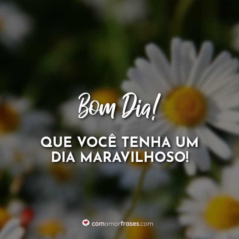 Bom Dia! Que você tenha um dia maravilhoso! Frase.