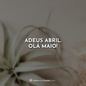 Adeus Abril. Olá Maio!