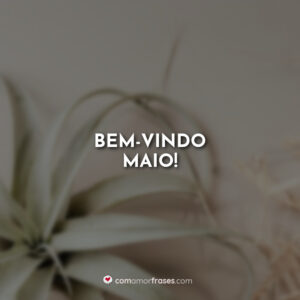 Bem-vindo Maio!