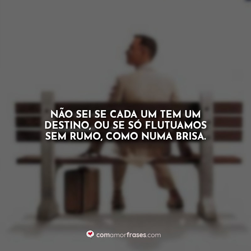 Frases Forrest Gump: Não sei se cada um tem.