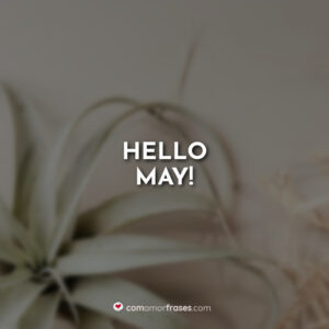 Hello May!