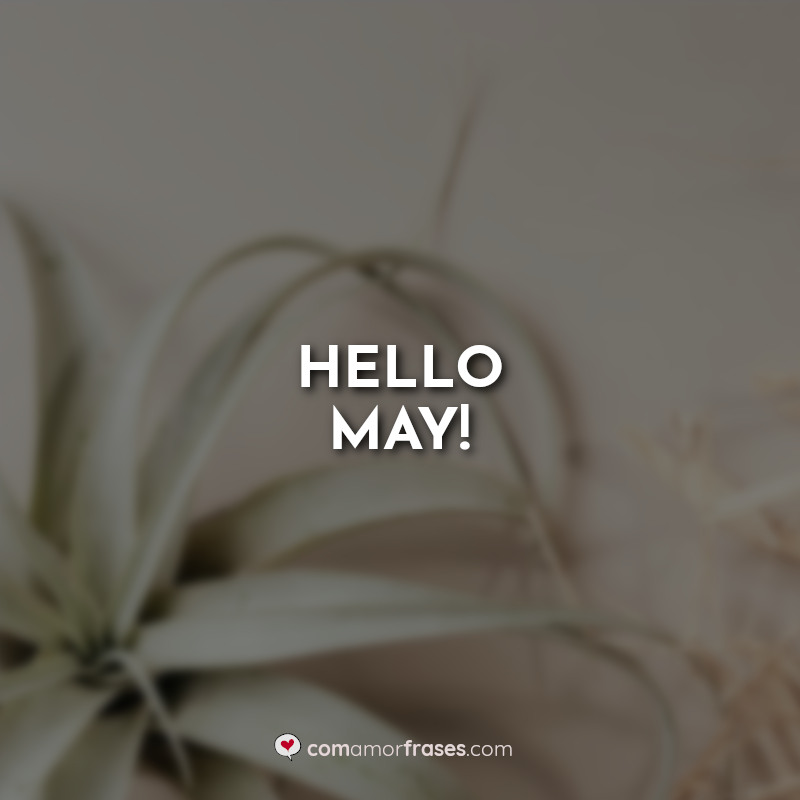 Frases de Maio: Hello May!