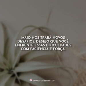 Maio nos trará novos desafios. Desejo que você enfrente essas dificuldades com paciência e força.