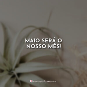 Maio será o nosso mês!