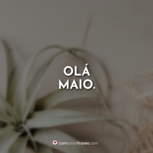 Olá Maio.