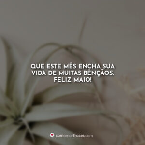Que este mês encha sua vida de muitas bênçãos. Feliz maio!