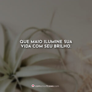 Que maio ilumine sua vida com seu brilho.