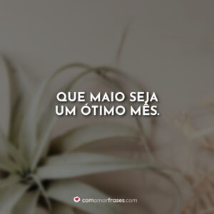 Que maio seja um ótimo mês.