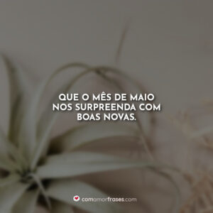 Que o mês de maio nos surpreenda com boas novas.