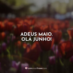 Adeus Maio. Olá Junho!