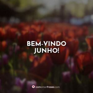 Bem-vindo Junho!