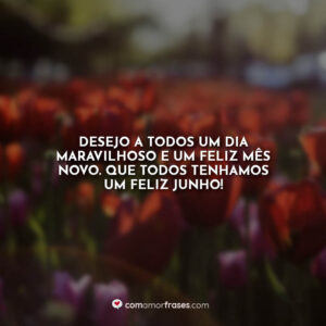 Desejo a todos um dia maravilhoso e um feliz mês novo. Que todos tenhamos um feliz junho!