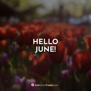 Hello June!