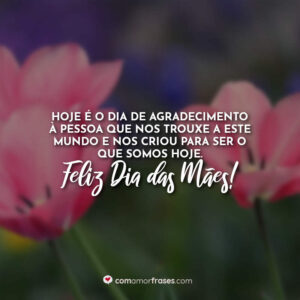 Hoje é o dia de agradecimento à pessoa que nos trouxe a este mundo e nos criou para ser o que somos hoje. Feliz Dia das Mães!