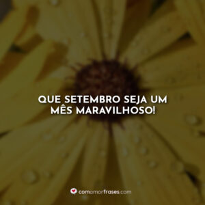 Que setembro seja um mês maravilhoso!