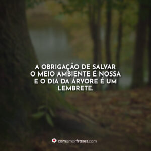 A obrigação de salvar o meio ambiente é nossa e o dia da Árvore é um lembrete.