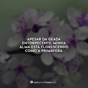 Apesar da geada entorpecente, minha alma está florescendo como a primavera.