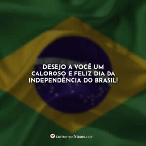 Desejo a você um caloroso e feliz Dia da Independência do Brasil!