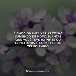 É emocionante ver as coisas surgindo de novo, plantas que você teve há vinte ou trinta anos. É como ver um velho amigo.