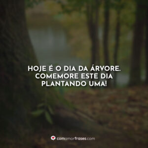 Hoje é o dia da árvore. Comemore este dia plantando uma!